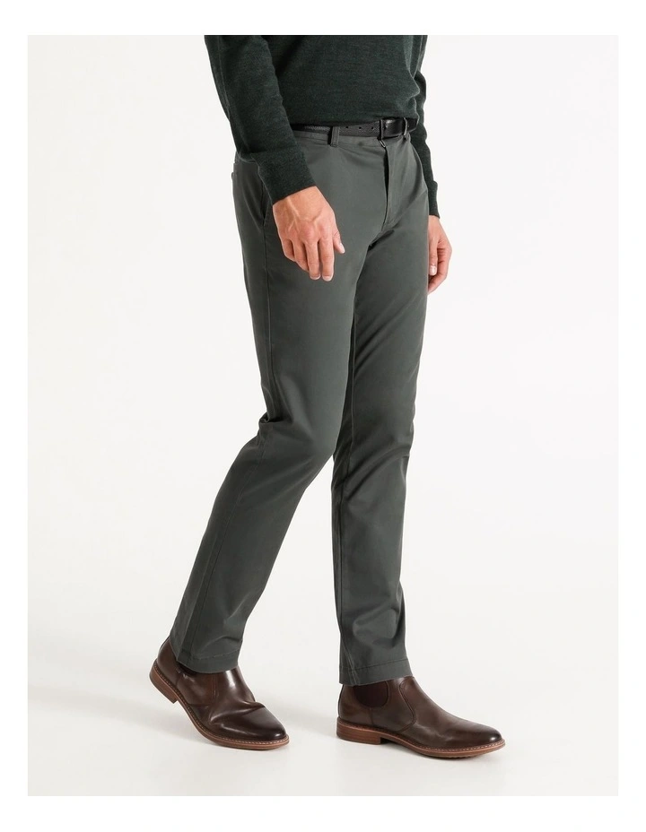 Boston Chino Forest - Image 2