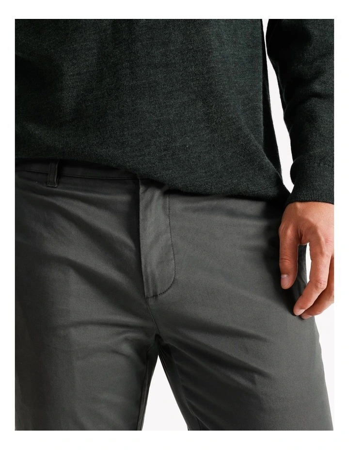 Boston Chino Forest - Image 5