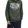 Champion Sporty Hoodie In Green